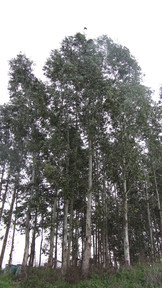 img_1107_thumb.jpg