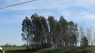 e.amp_20120310_1_thumb.jpg