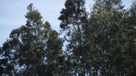 e.amp_20120310_2_thumb.jpg