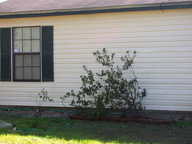 azaleas_thumb.jpg