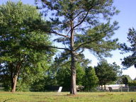 dscn2107_thumb.jpg