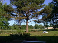 dscn2108_thumb.jpg