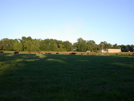 dscn2114_thumb.jpg