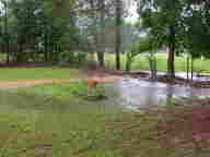 dscn2337_thumb.jpg