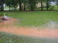 dscn2339_thumb.jpg