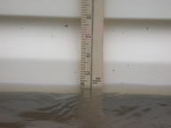 dscn2341_thumb.jpg