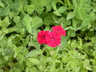 dscn2947_thumb.jpg