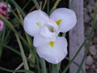dscn2954_thumb.jpg
