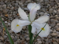 dscn2957_thumb.jpg
