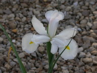 dscn2958_thumb.jpg