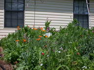 dscn2964_thumb.jpg