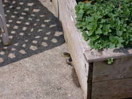 dscn2966_thumb.jpg