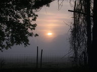 dscn2970_thumb.jpg