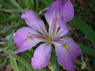 dscn2978_thumb.jpg