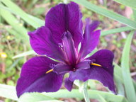 dscn2979_thumb.jpg