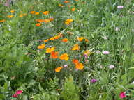 dscn2984_thumb.jpg