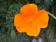 dscn2987_thumb.jpg
