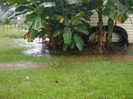 dscn3128_thumb.jpg
