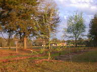 dscn3527_thumb.jpg