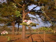 dscn3528_thumb.jpg