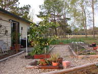 dscn3531_thumb.jpg