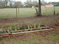flowerbed2_thumb.jpg