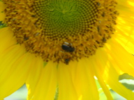 dsc00766_thumb.jpg