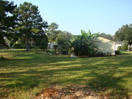dsc01116_thumb.jpg