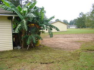 dsc01127_thumb.jpg