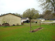 2009_3_thumb.jpg