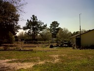 img00005-20100316-1434_thumb.jpg