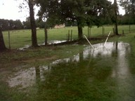 img00005-20100715-1956_thumb.jpg