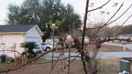 ap4_2012_2_thumb.jpg