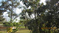 img_2241_thumb.jpg