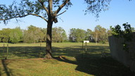 img_0910_thumb.jpg