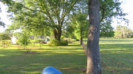 img_1194_thumb.jpg