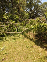 pxl_20240511_180451296_thumb.jpg