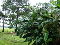 dsc01015_thumb.jpg