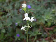 dscn2307_thumb.jpg