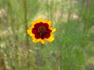 dscn2308_thumb.jpg