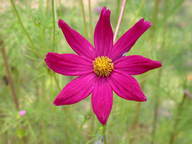 dscn2309_thumb.jpg