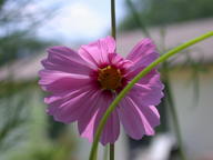 dscn2311_thumb.jpg