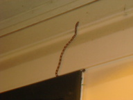 dsc01137_thumb.jpg