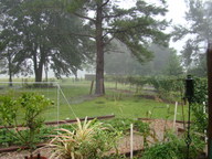 dsc00989_thumb.jpg