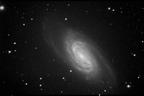 ngc2903combine_thumb.jpg