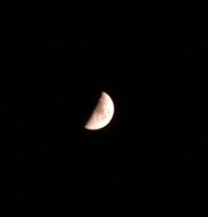 dscn0175_thumb.jpg