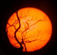 sunset2_thumb.jpg
