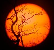 sunset3_thumb.jpg