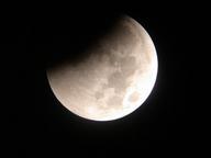 dscn1556_thumb.jpg