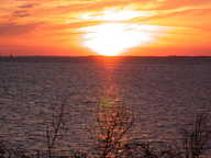 dscn3369_thumb.jpg